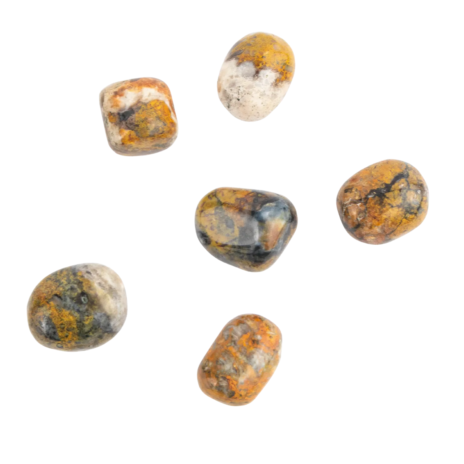 Bumble Bee Jasper Stone