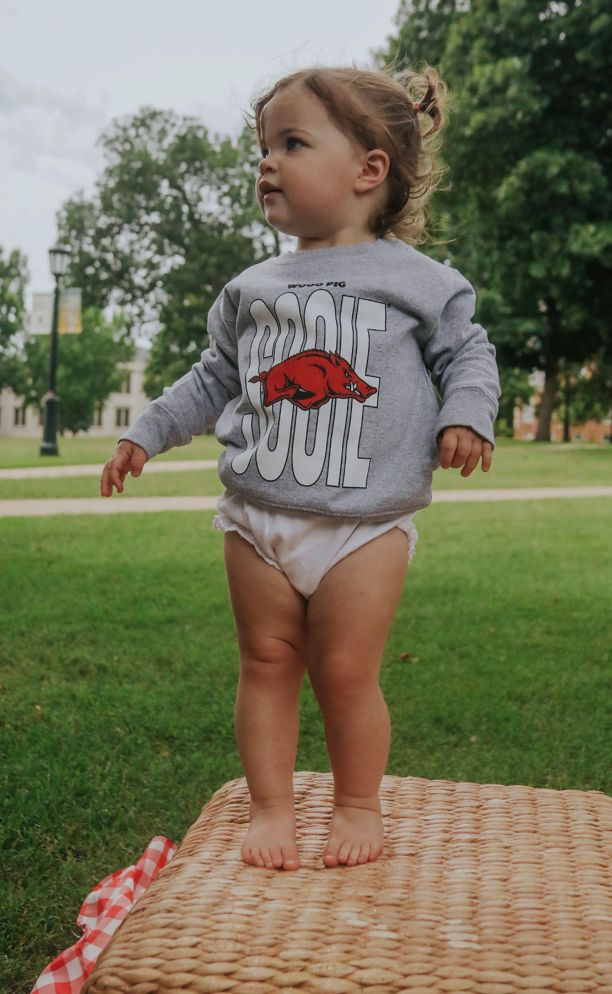 charlie southern: woo pig sooie toddler sweatshirt